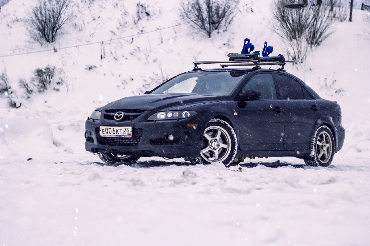 Фото Пальцев Николай