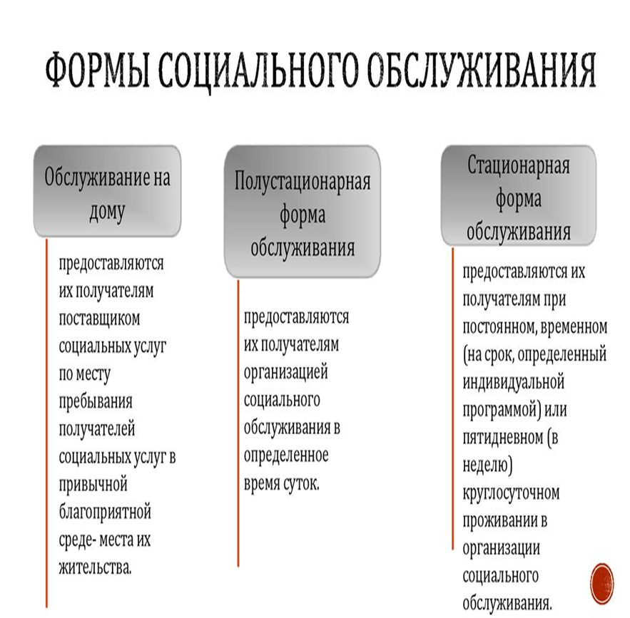 Какие науки получили название социальные