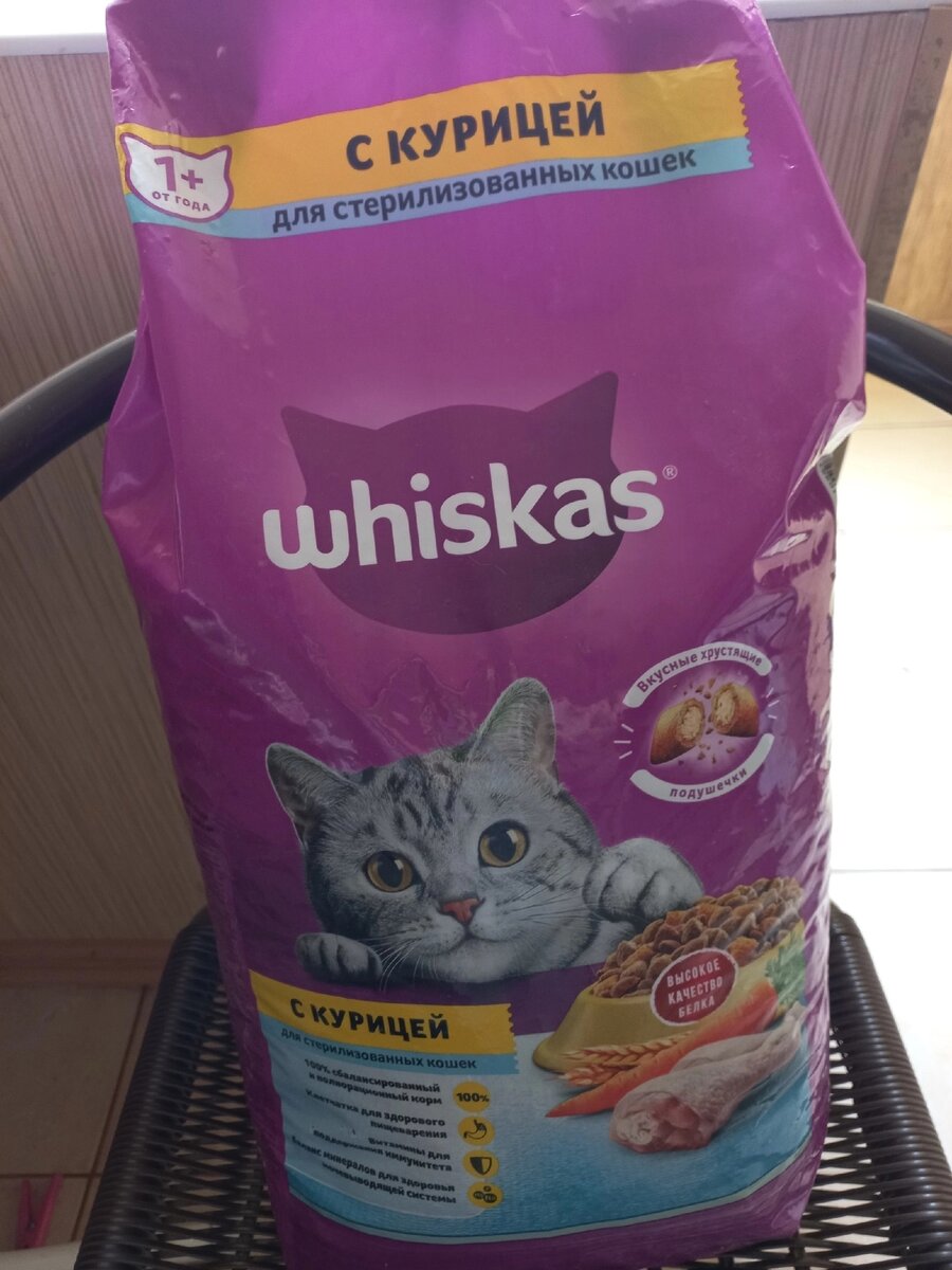 Сухой корм для животных. Кошачий корм влажный. Корм. Корм. Питание джек рассел терьера.