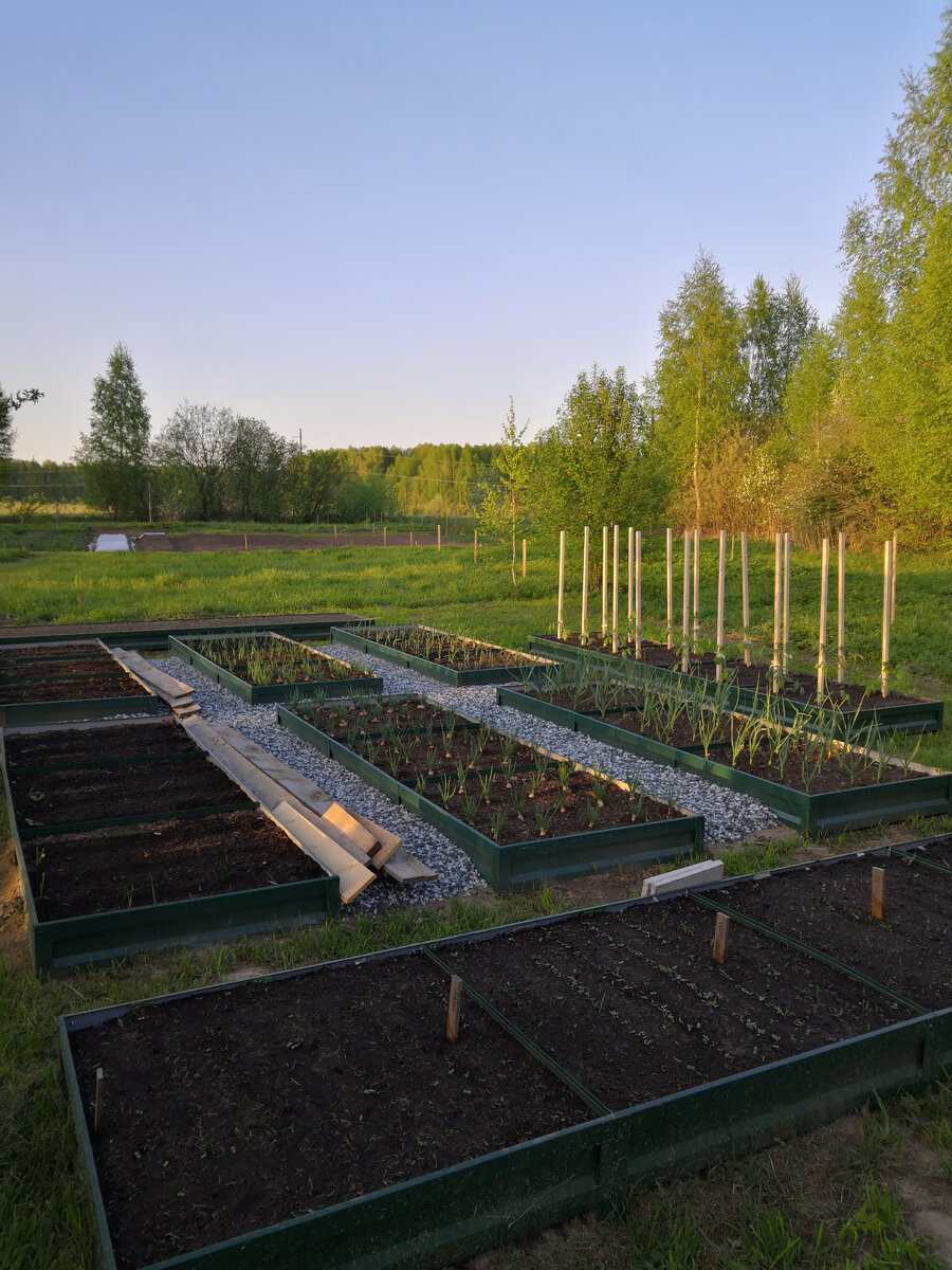 Издалека видны только колышки пока) 