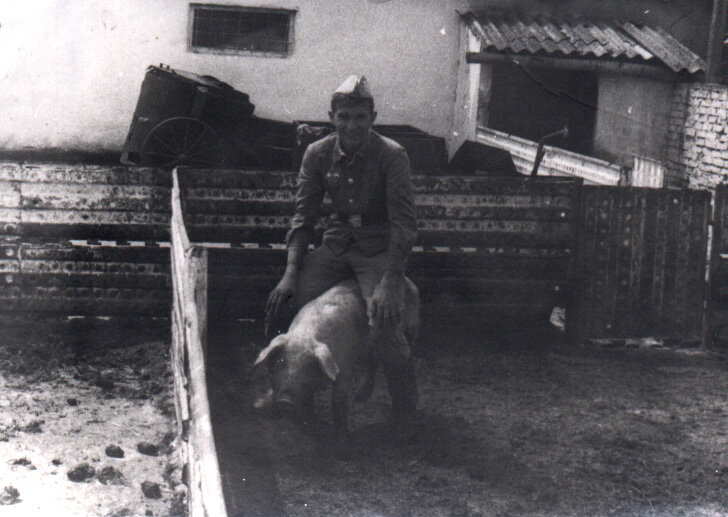 свинарник...