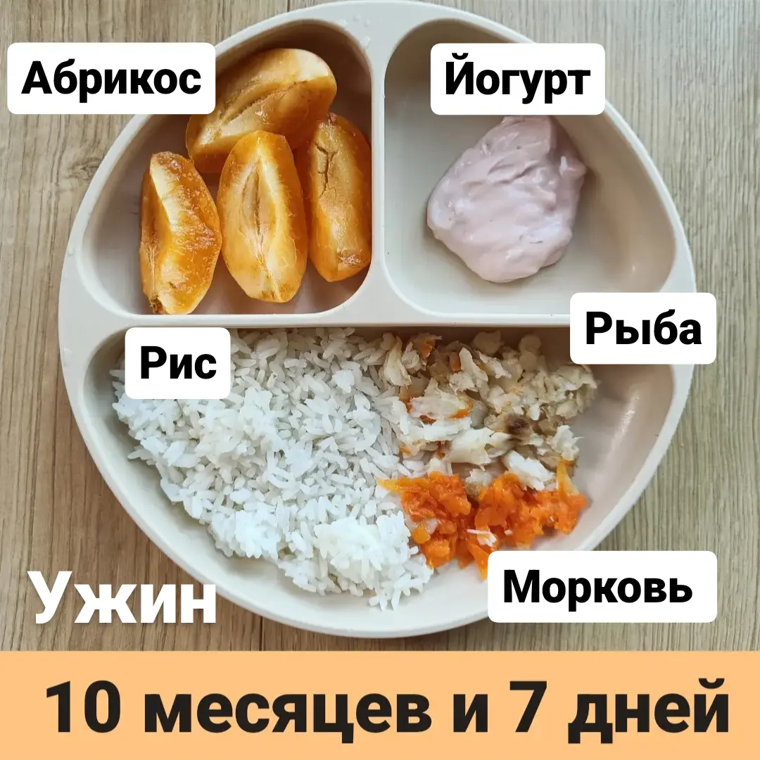 Пример тарелки в 10 месяцев 