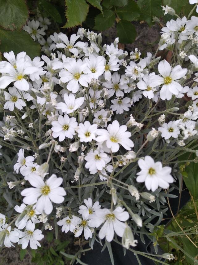 Фото для душевного настроения