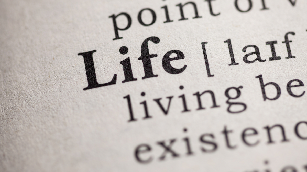 "Он чувствовал бы жизнь в каждой секунде, в каждом взмахе ресниц, в каждом вздохе.."