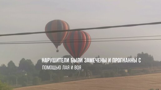 Молодцы, хорошо сработали, всех подняли в 6 утра! Стая хаски заметила воздушных нарушителей