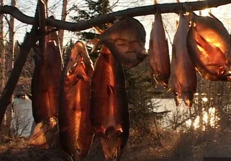 Кадры из документального фильма "Счастливые люди"