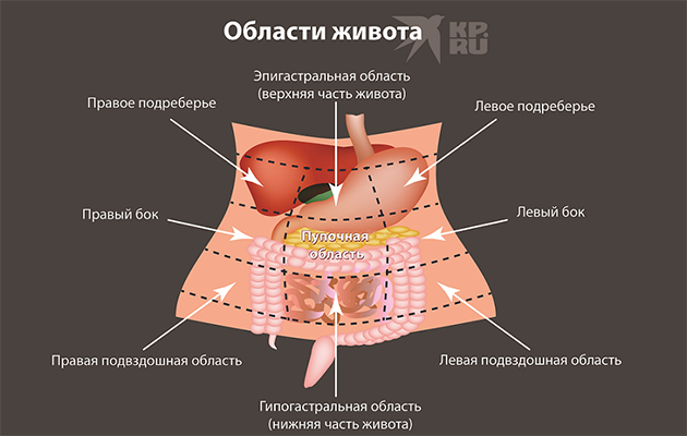 Фото: Shutterstock
