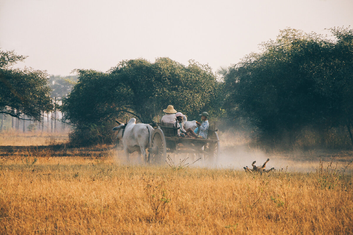 Фото: unsplash.com 