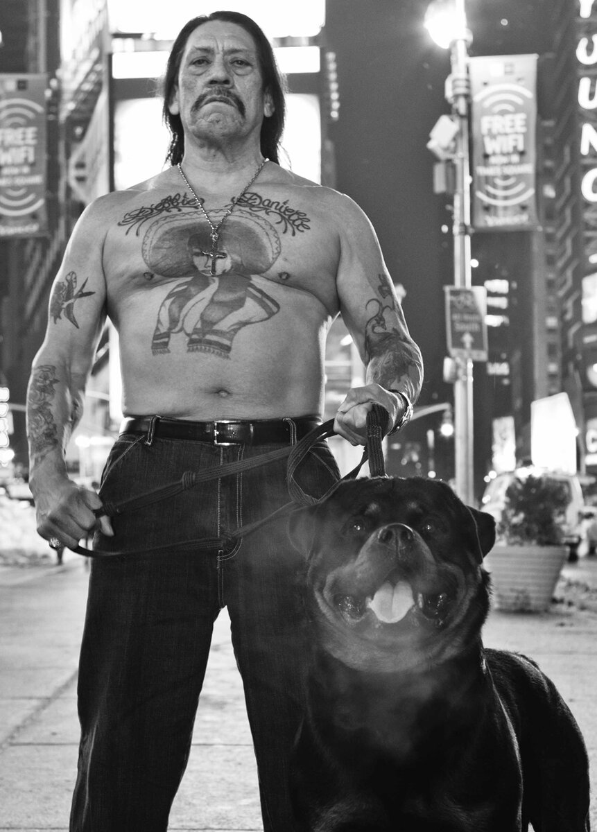 Фото из свободных источников