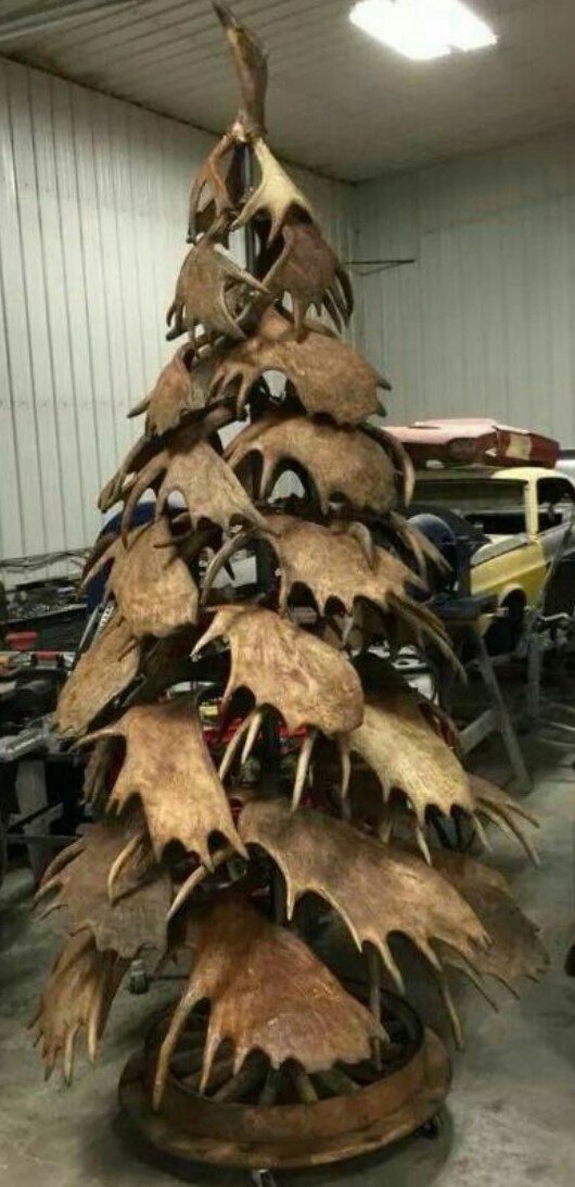 Фото: Sol_TRN / Reddit📷
