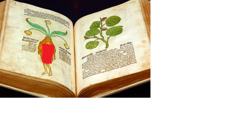 Сад здоровья