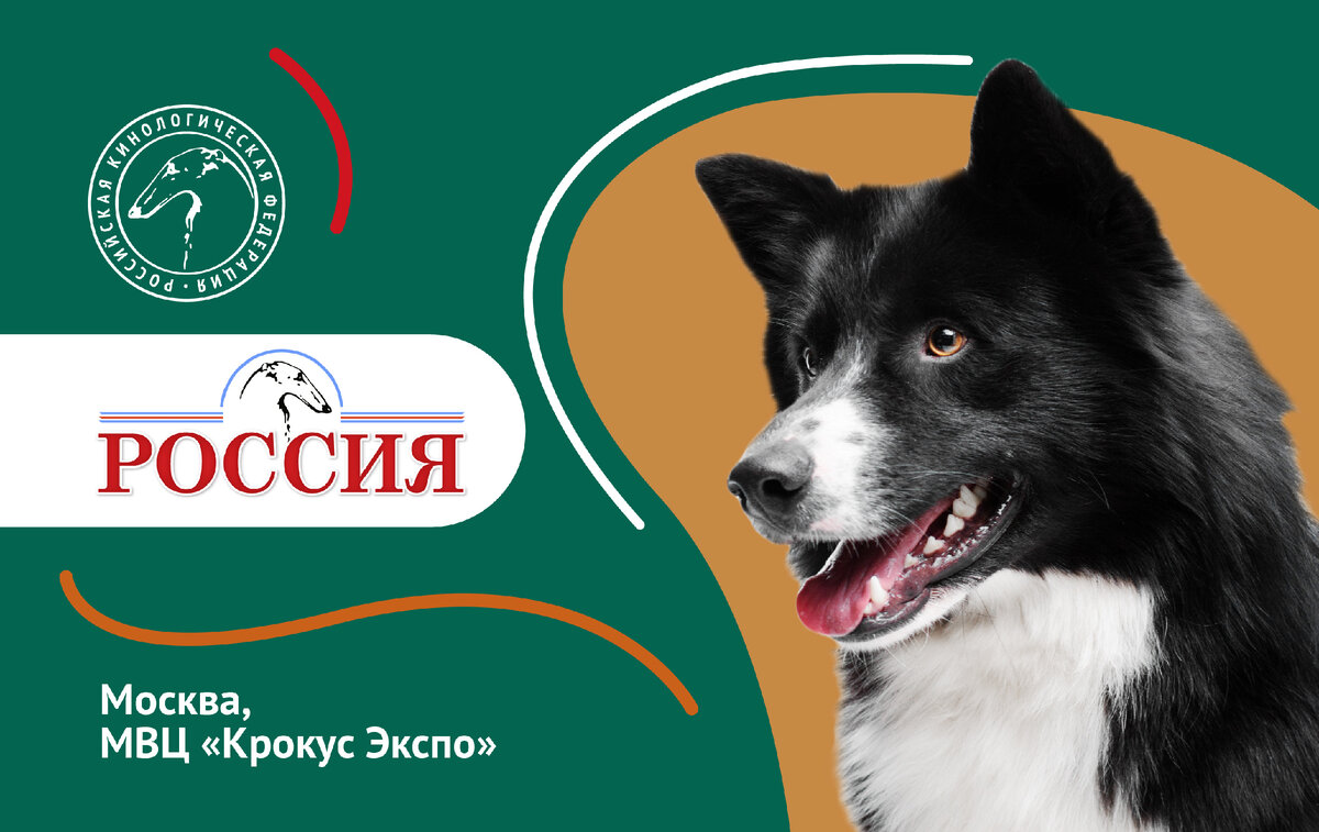 Не пропустите одно из самых значимых событий года