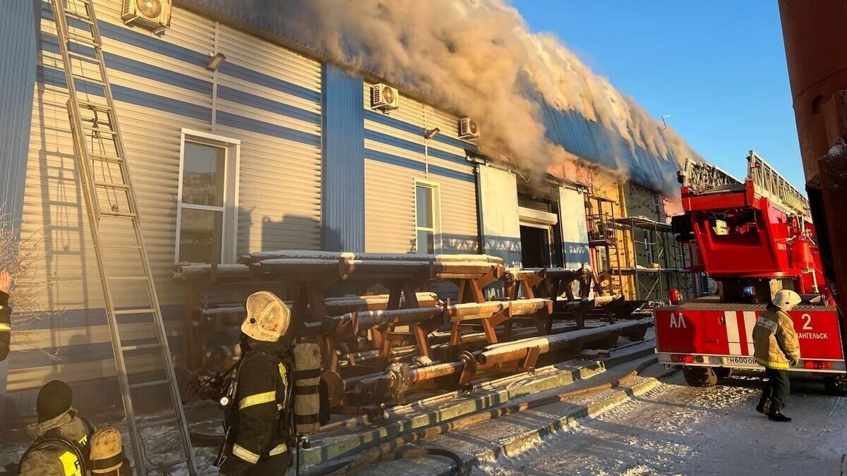    Пожар в поселке Лайский Док в Архангельской области © Фото : ГУМЧС России по Архангельской области