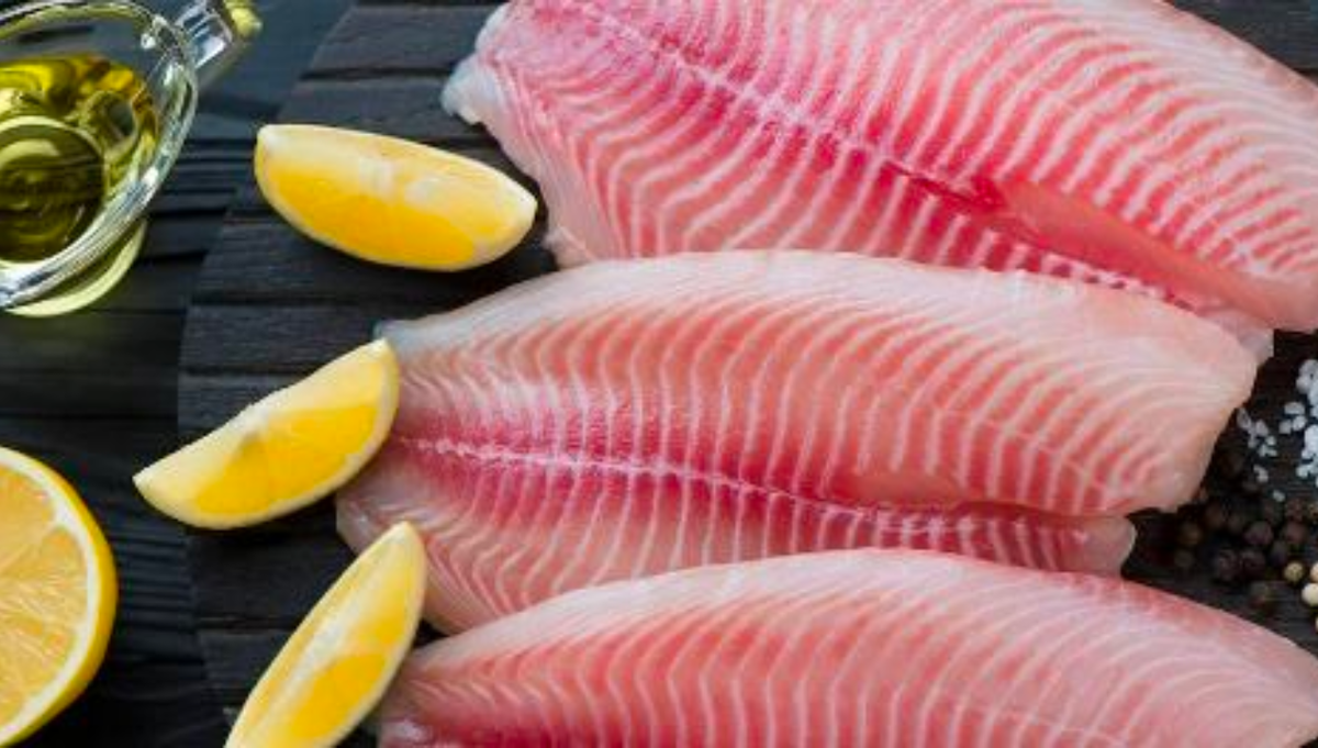 ТОП-5 проектов по выращиванию рыба и морепродукты в пробирке