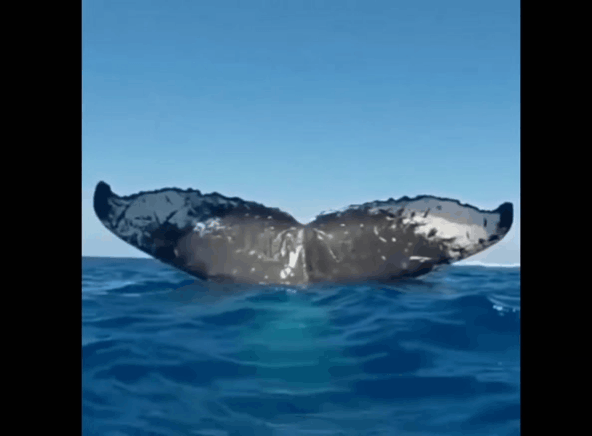 Взято из открытого источника