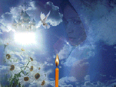 Фото из свободного доступа интернета.