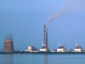    Фото: Ralf1969/Wikimedia Commons Ирина Амелина