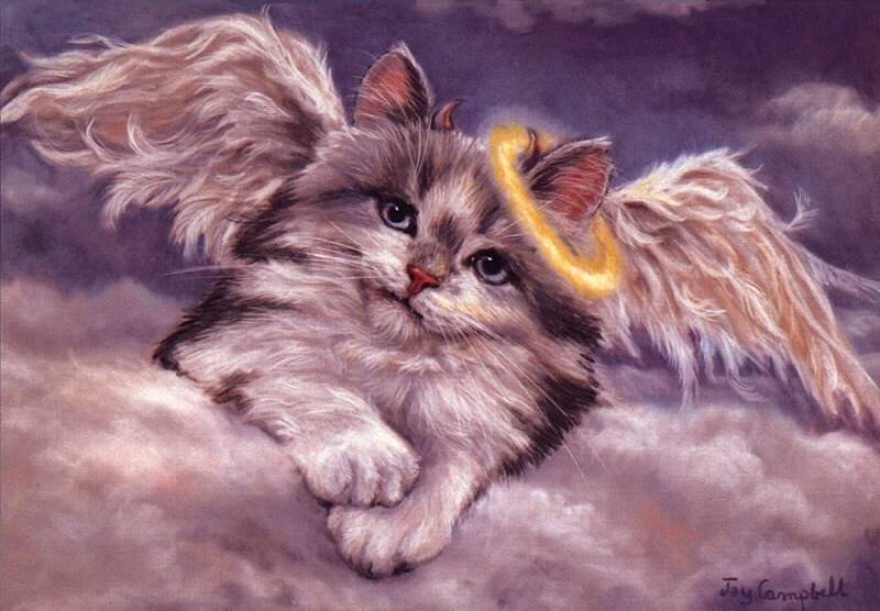Рисунок из открытых источников
