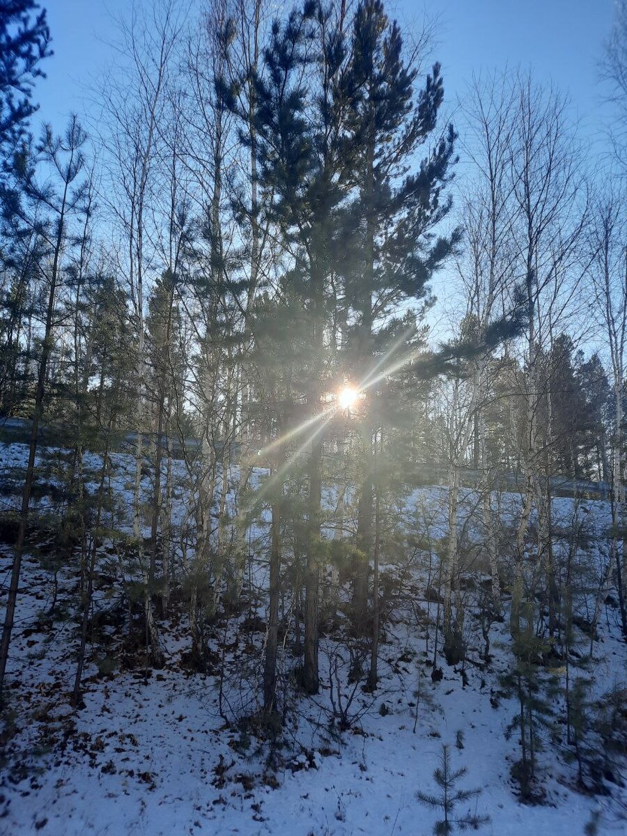 Фото автора.