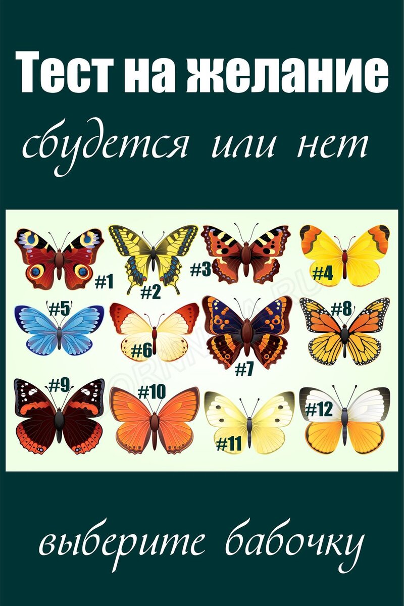    Тест на желание — сбудется или нет Pavlov A