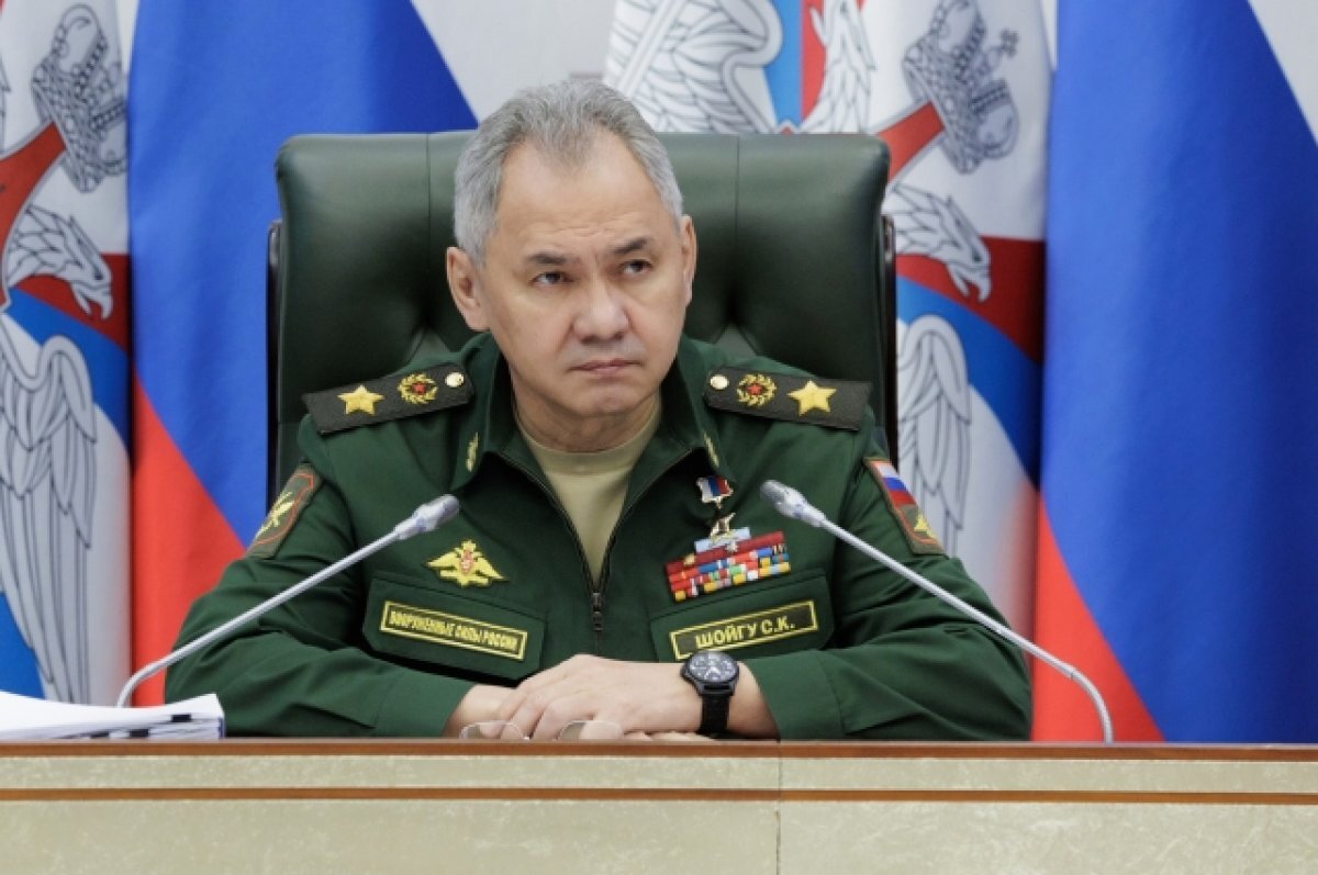    Шойгу заявил, что система мобилизации в РФ оказалась не полностью готова
