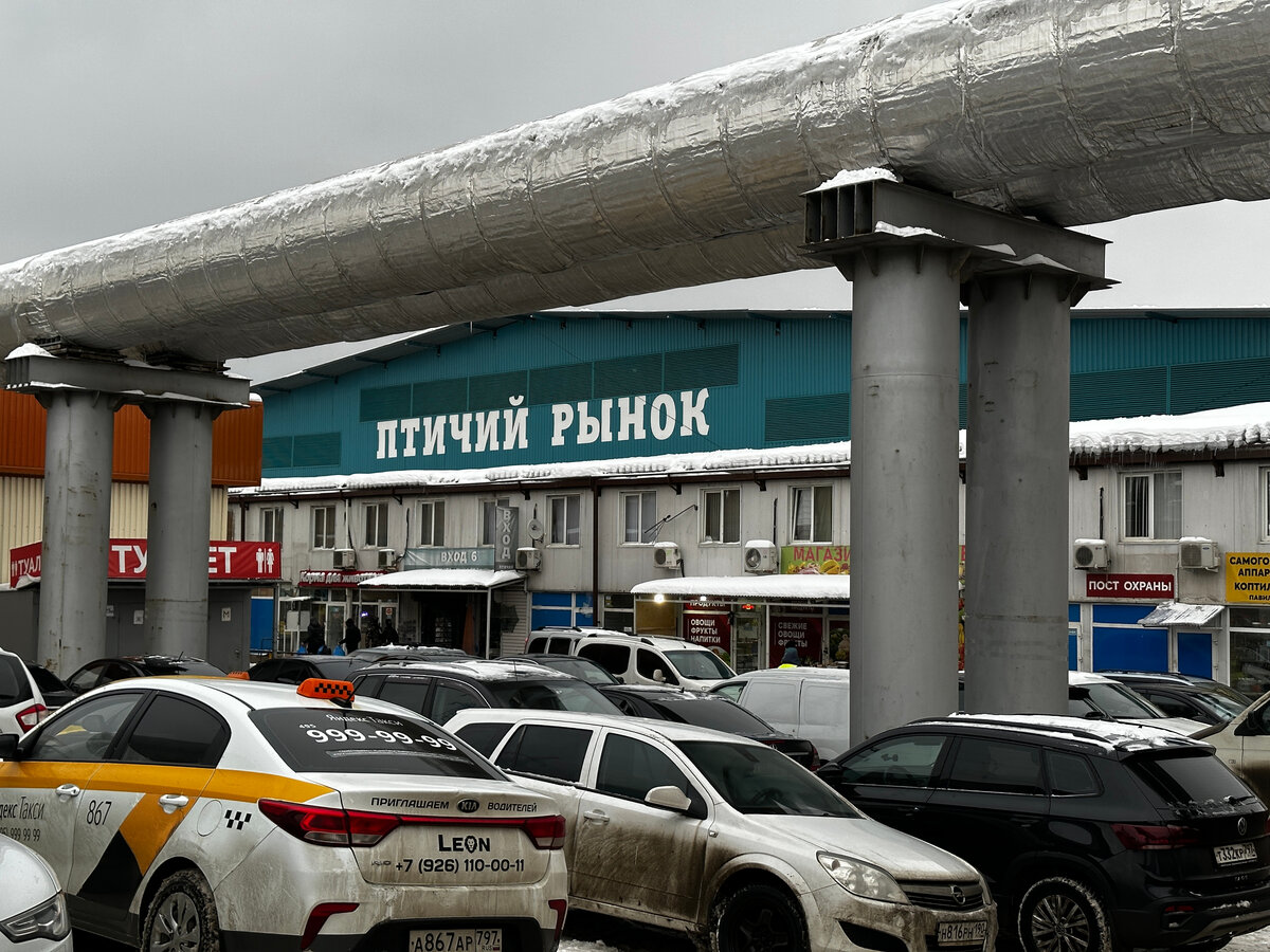 Вот что новый Птичий уверенно унаследовал от прежнего, городского, так это непрезентабельный внешний вид.