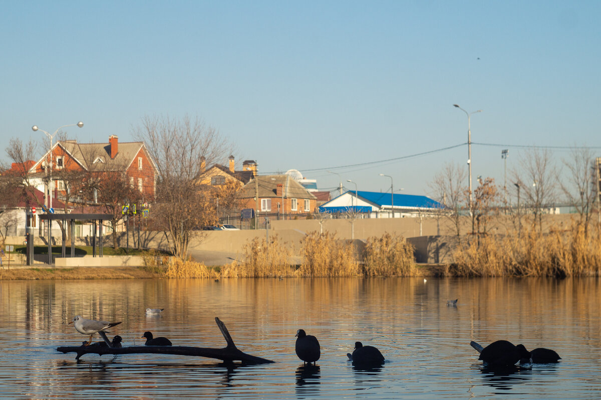 Пример снято на Гелиос 44-2 + Sony A3000, Helios 44-2 пейзаж
