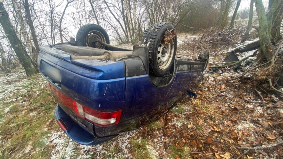   Автор фото: пресс-служба ГУ МВД по Воронежской области