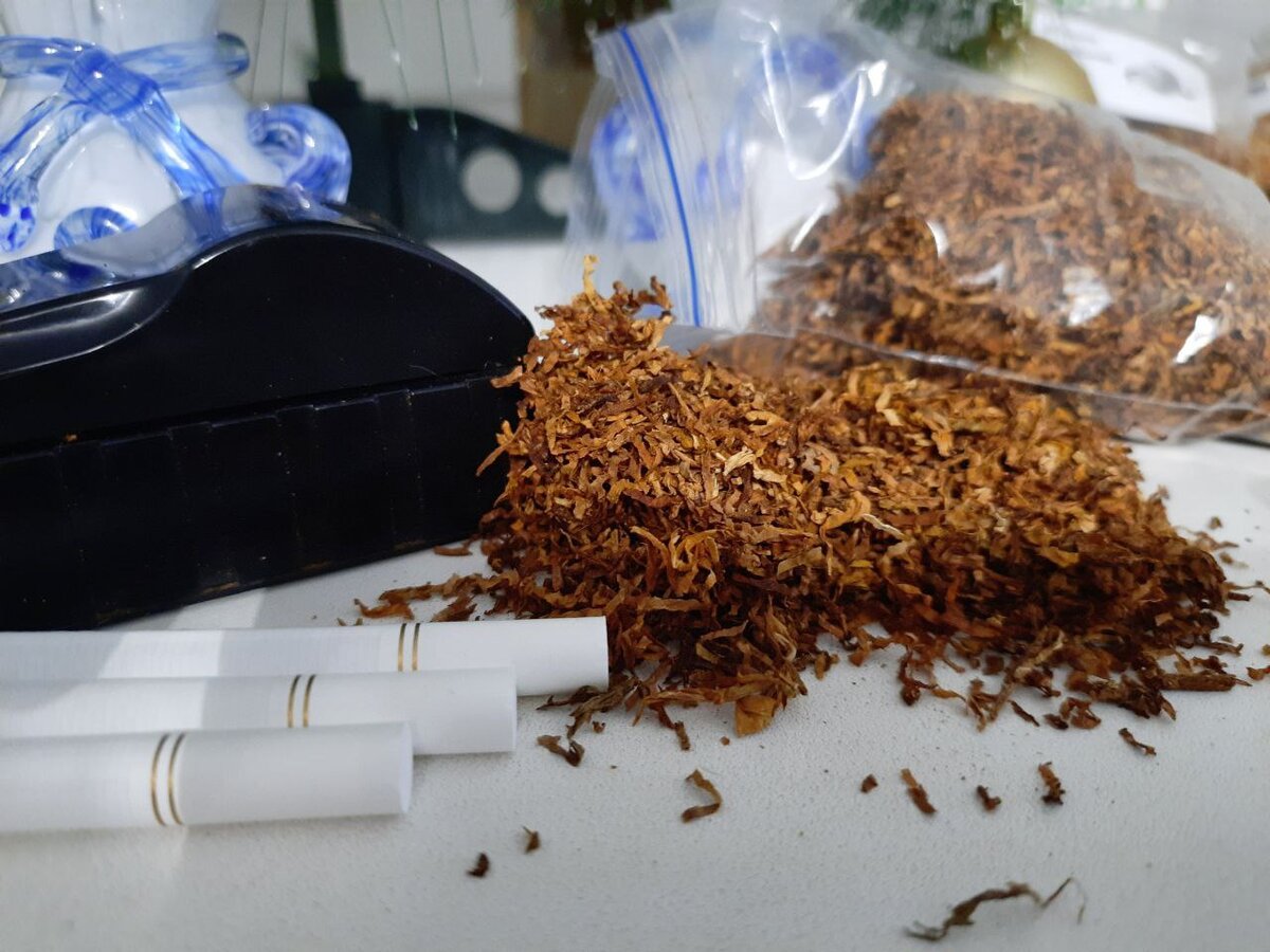 Развесной табак купить 1 кг. Табак Вирджиния ред. Ферментация табака Вирджиния. Табак в Аргентине. Табак в мешках.