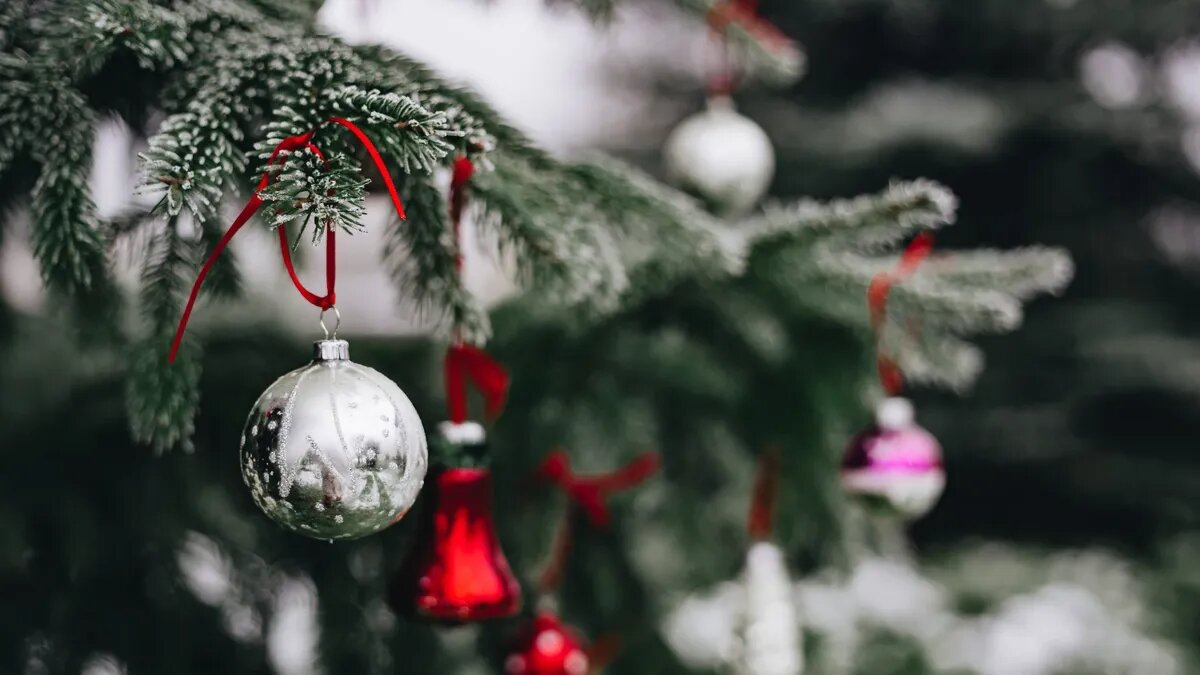 Когда ожидается праздничный, выходной день зимой - весной. Фото: www.piqsels.com