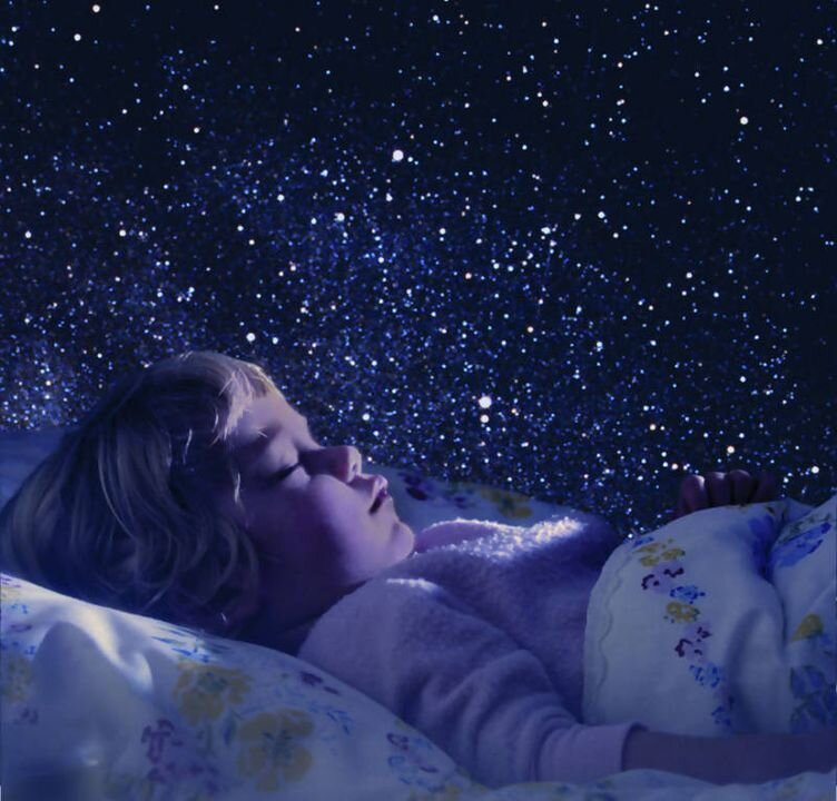 Из открытых источников Яндекса.