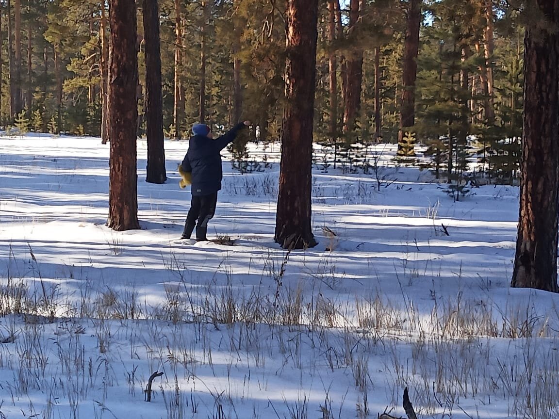 Реликтовый ленточный бор и мой внук.