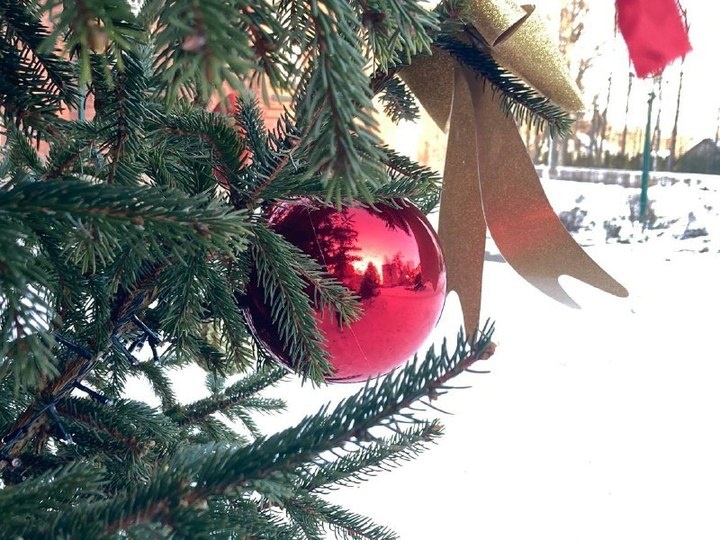     Псков нарядился к Рождеству / Фото: Александр Елисеев