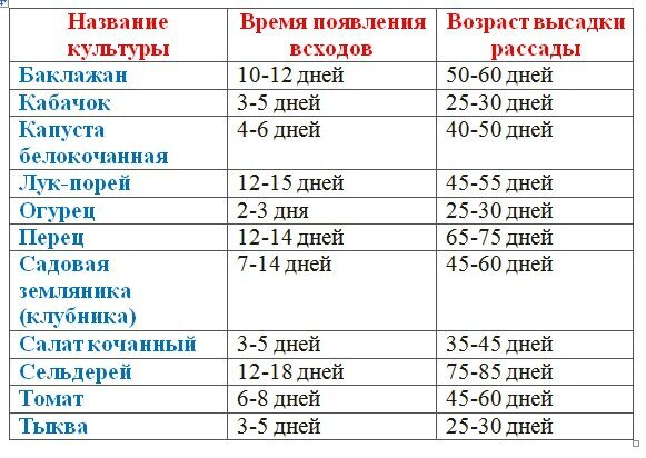 Полезная табличка для дачников: что и в какие сроки сажать на рассаду?