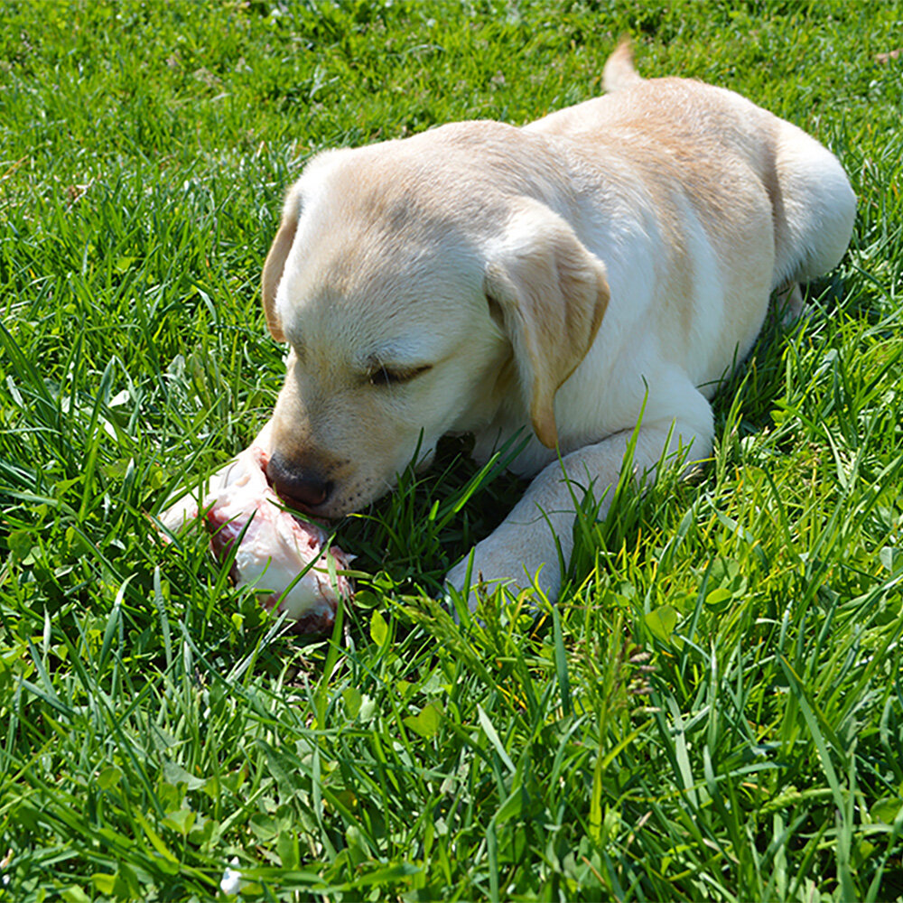 Это очень вкусно!