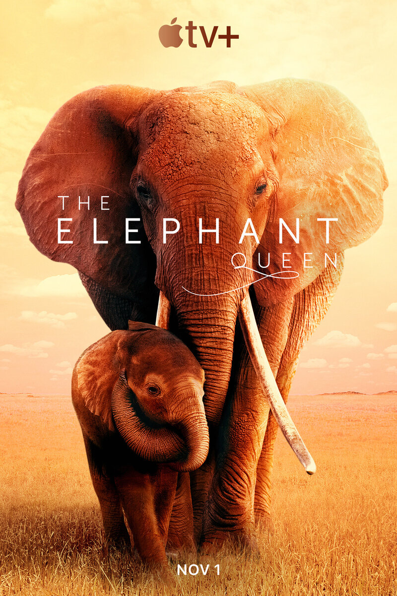 Значение и происхождение идиомы See the elephant