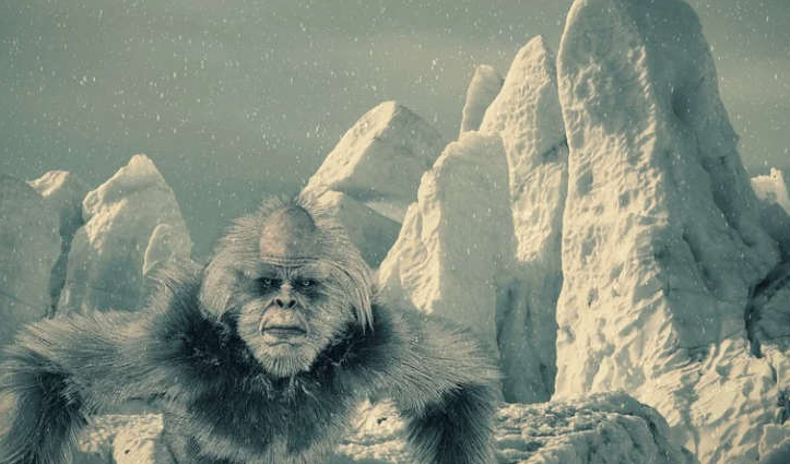 Welcome to Yeti Park
