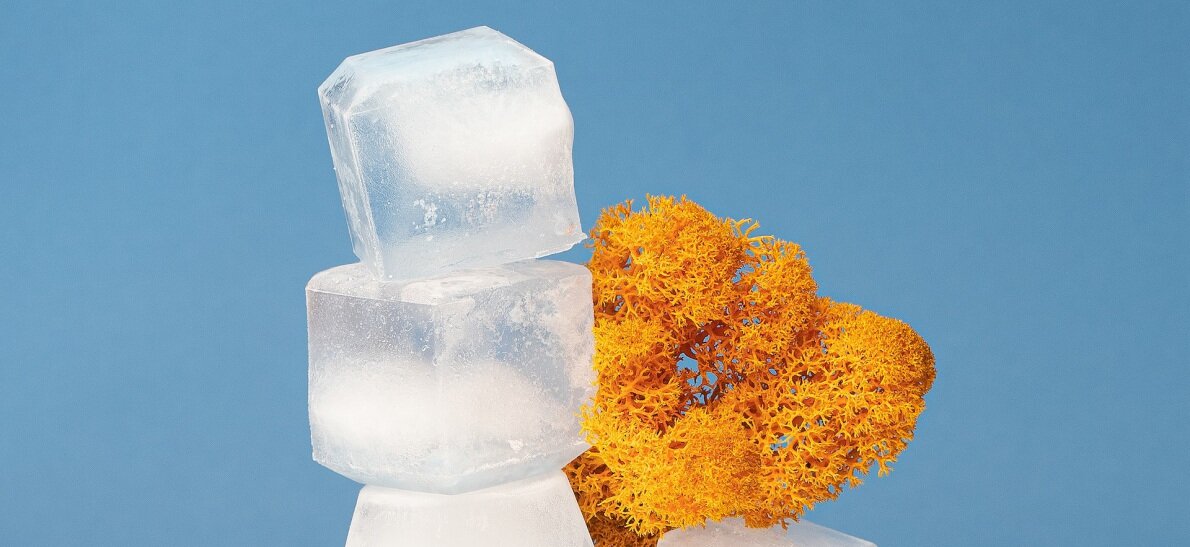 Как привычки влияют на нашу жизнь