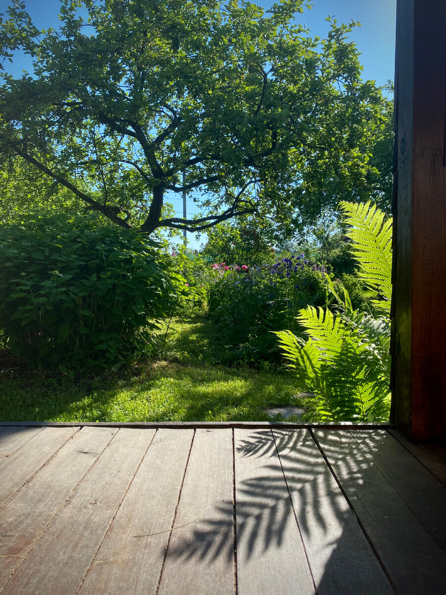 Добро пожаловать в мой тенистый сад