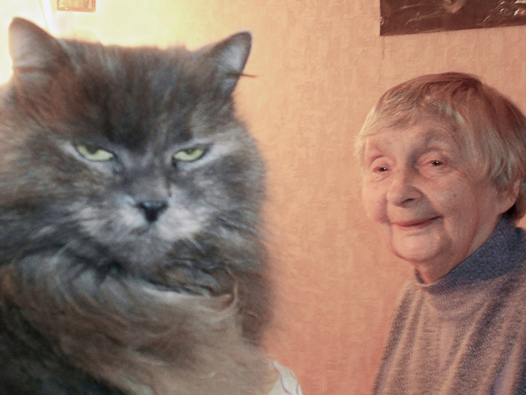 Надежда Иосифовна Строгонова, 2022 г. к сожалению, у меня не было на момент публикации детской фотографии Надежды Иосифовны. Любимая кошка Степанида всегда влезет в кадр, потому что она - главная