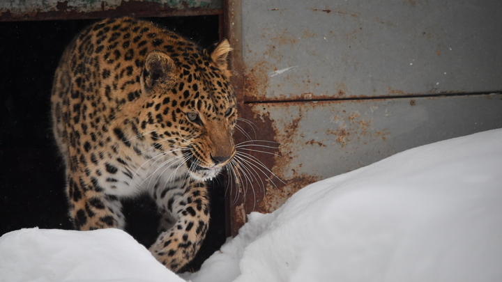 KOMSOMOLSKAYA PRAVDA/GLOBAL LOOK PRESS 