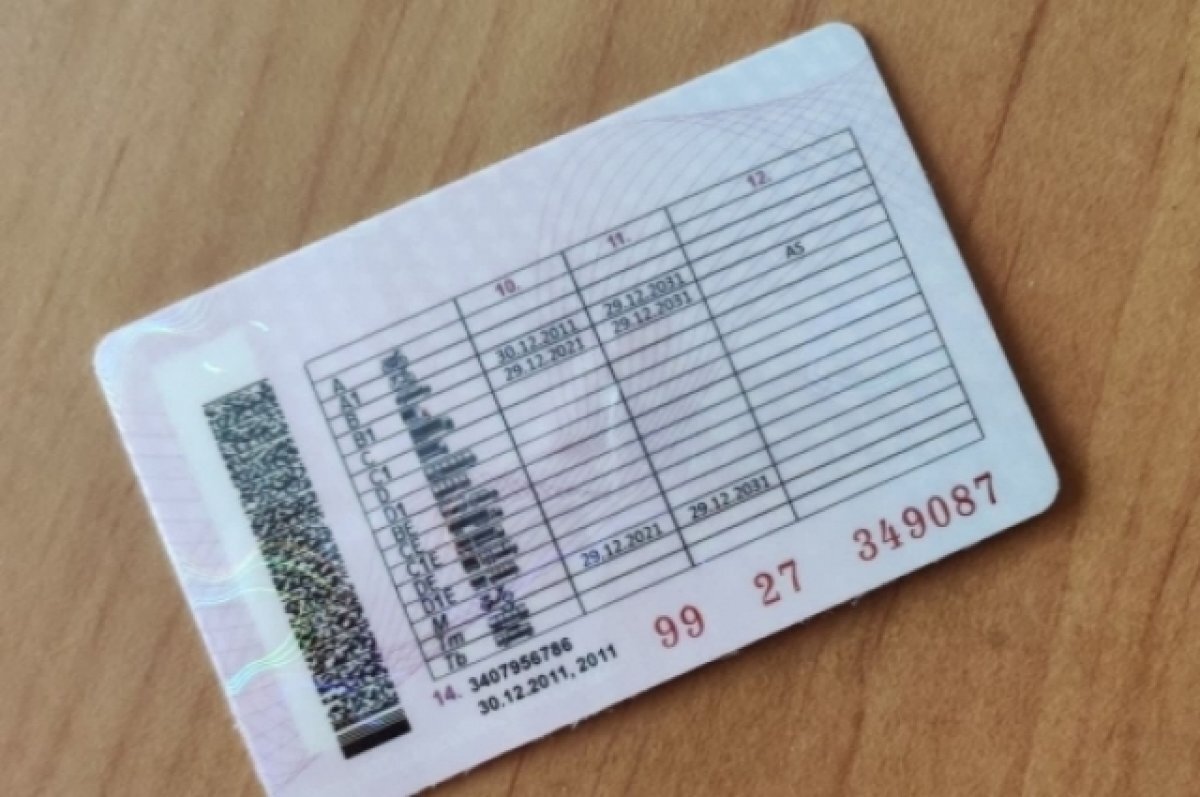    В Новосибирске разрешили показывать права инспекторам ГИБДД в телефоне