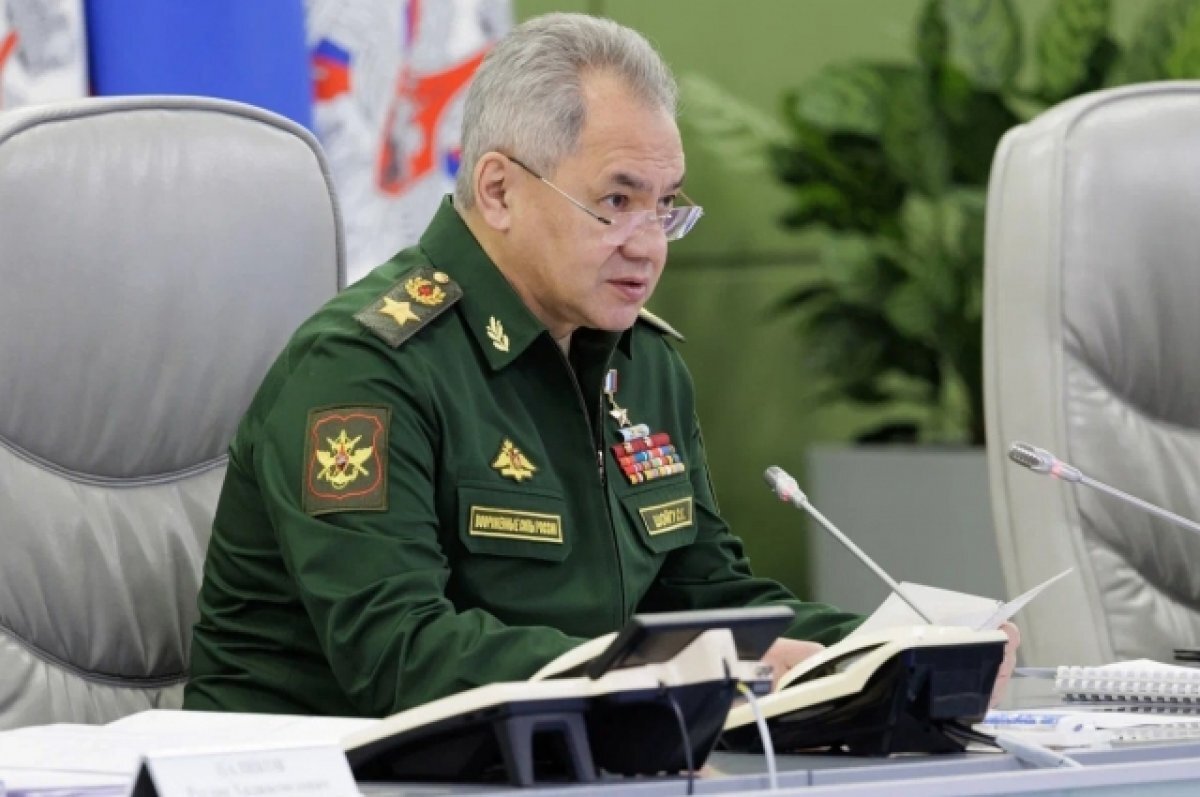    Шойгу отметил высокий профессионализм военных инженерных войск в ходе СВО