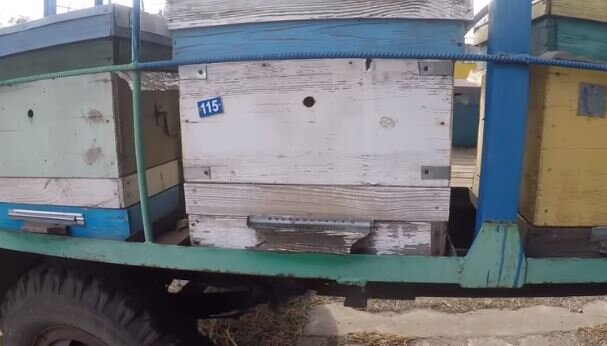 Нижние летки закрыты, что бы в улей не проникли мыши