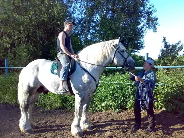 Когда мы были молодыми. Счастливые моменты встреч.Мы попали на заездку друзьями молодого першерона.