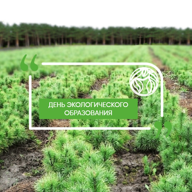 12 мая день экологического образования. всемирный день экологического образования (world environmental education. день экологического образования 26 января. с дне экологического образования. всемирный день экологического образовани.