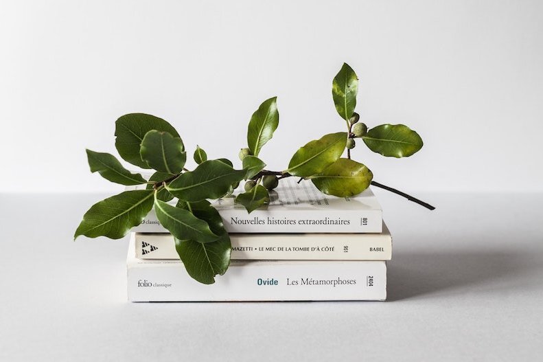     Жизнь без боли и болезней: новые книги о здоровье, которые стоит прочесть