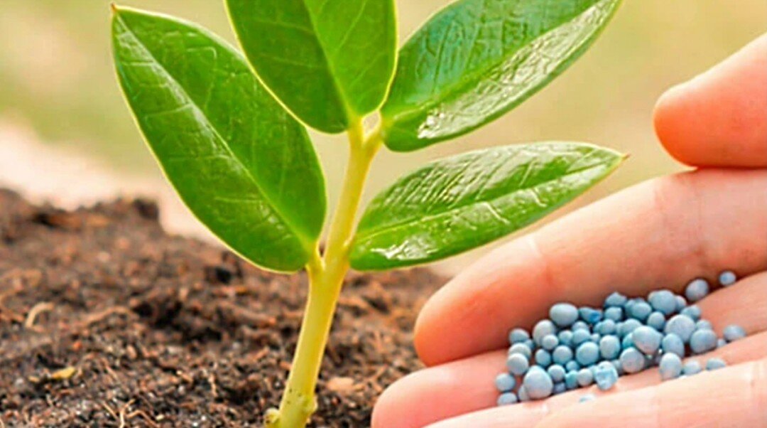 9 кг. Микроэлементы минеральных удобрений. Микроэлементы минеральных удобрений. Микроэлементы минеральных удобрений. Микроэлемент железо сообщение.