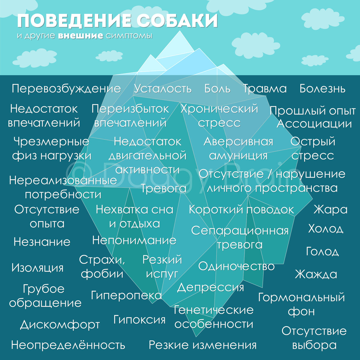 Что стоит за поведением собаки? Метафора айсберга | Собачка головного мозга  - Doggy Brain | Дзен