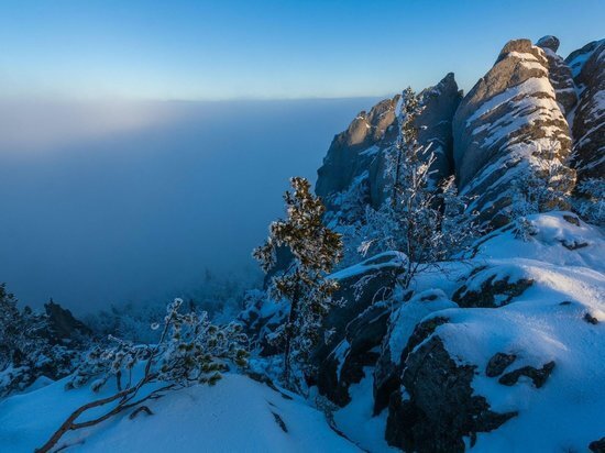     Фото: Дмитрий Куткин